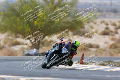 media/Apr-10-2022-SoCal Trackdays (Sun) [[f104b12566]]/Turn 5 Tree of Life (1040am)/